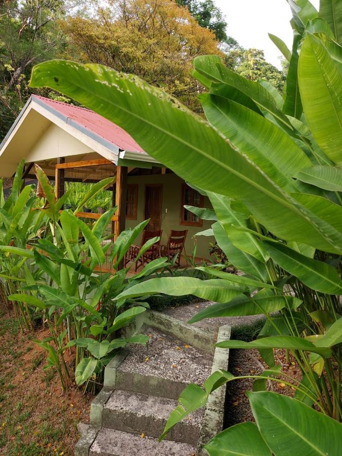 Cabina Rancho La Merced Uvita Eksteriør bilde